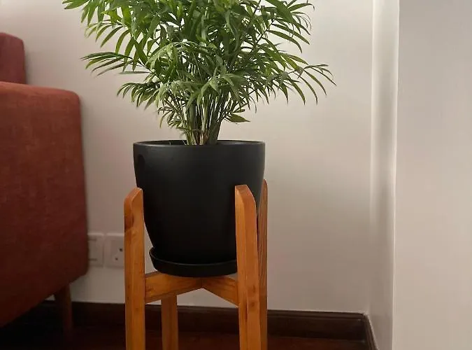 6d, Retreat Apartment Kathmandu
